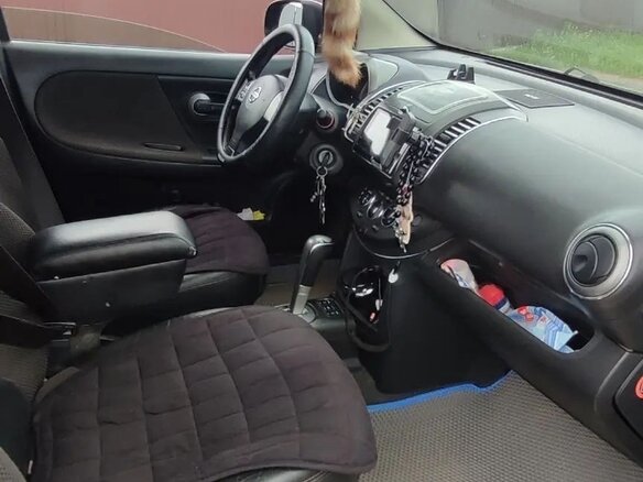 2007 Nissan Note I, чёрный - вид 6