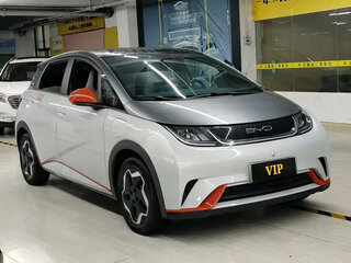 2022 BYD Dolphin 44.9 kWh I, белый, 1100000 рублей, вид 2
