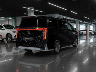 2024 GAC M8, чёрный, 4250000 рублей, вид 5