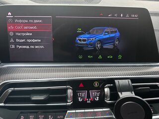 2019 BMW X5 30d IV (G05/G18), синий, 7200000 рублей, вид 3