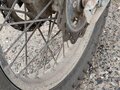 2023 Regulmoto TE 250 PR, зелёный, 125000 рублей - вид 5