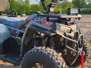 2025 Motoland Wild Track 200 X Pro, красный, 180000 рублей, вид 4