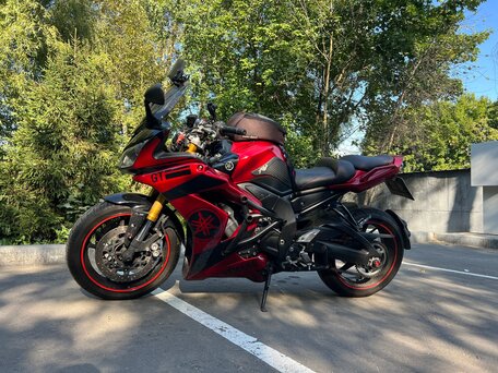 2007 Yamaha FZ1, красный, 520000 рублей, вид 1