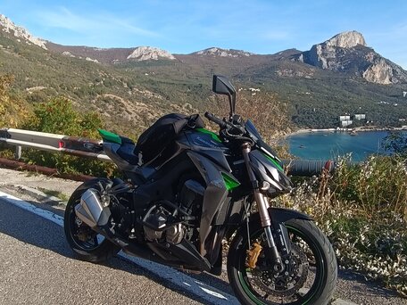 2014 Kawasaki Z 1000, серебристый, 910000 рублей, вид 4