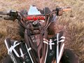 2017 Kayo Predator, чёрный, 55000 рублей - вид 2