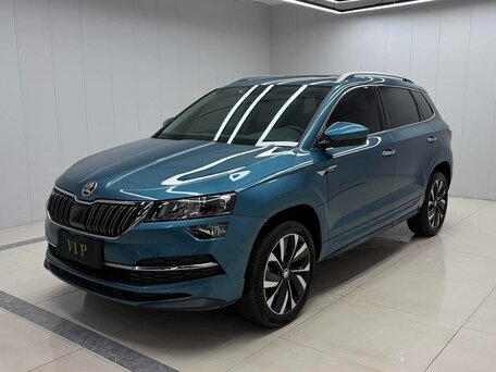 2023 Skoda Karoq DSG7 I, голубой, 2159000 рублей, вид 1