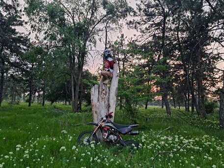 2018 Racer Pitbike 125/160, синий, 49990 рублей, вид 4