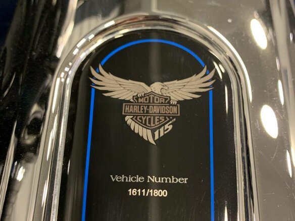 2018 Harley-Davidson Street Glide Special, синий - вид 8