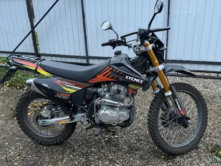 2025 Sycmmc 250, чёрный, 115000 рублей, вид 4