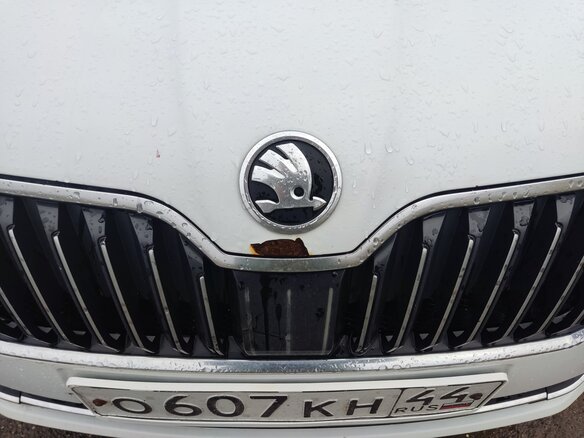 2016 Skoda Superb ACT III, белый - вид 13