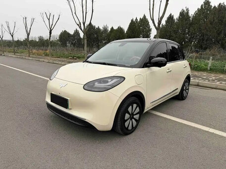 Wuling Binguo