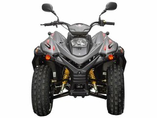 2026 Stels ATV-200 Леопард, чёрный, 250000 рублей, вид 4