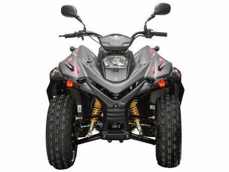 2026 Stels ATV-200 Леопард, чёрный, 250000 рублей, вид 4