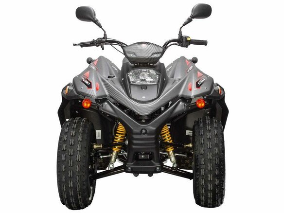 2026 Stels ATV-200 Леопард, чёрный, 250000 рублей - вид 3