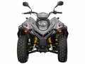 2026 Stels ATV-200 Леопард, чёрный, 250000 рублей - вид 3