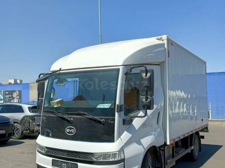 2024 BYD T5, белый, 2950000 рублей, вид 1
