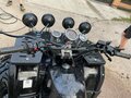 2026 Tiger Max Grade 300, чёрный, 170000 рублей - вид 2