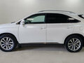 2014 Lexus RX 270 III Рестайлинг, белый, 2349000 рублей - вид 8