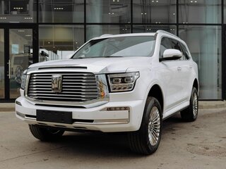 2026 Tank 500 I, чёрный, 8449000 рублей, вид 4