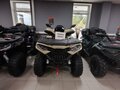 2026 Loncin XWolf 1000, бежевый, 1164000 рублей - вид 1