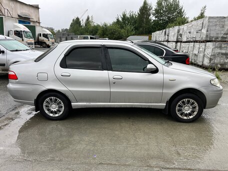 2008 Fiat Albea I Рестайлинг, серый, 365500 рублей, вид 4