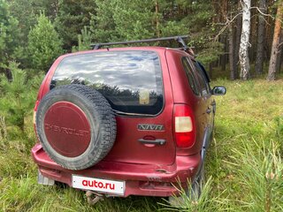 2007 Chevrolet Niva I, красный, 210000 рублей, вид 4