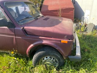 2010 Lada (ВАЗ) 2329, пурпурный, 140000 рублей, вид 3