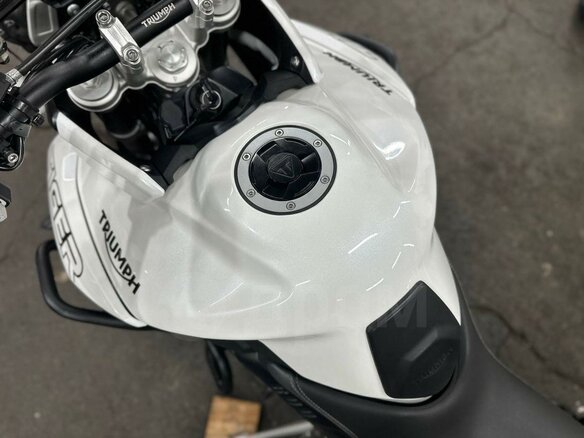 2019 Triumph Tiger 800, белый, 1050000 рублей - вид 9