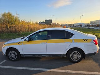 2019 Skoda Octavia III (A7) Рестайлинг, белый, 835000 рублей, вид 4