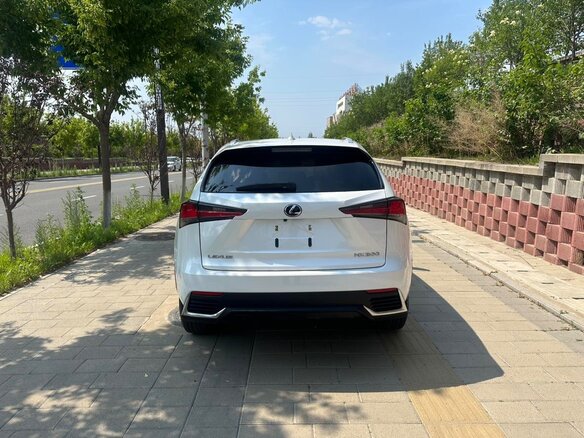 2021 Lexus NX 200 I Рестайлинг, белый, 2540000 рублей - вид 4