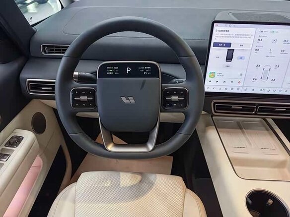 2025 Li Auto (Lixiang) Mega I, серый, 10234055 рублей - вид 10
