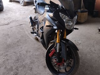 2013 S2 Motors Panther CBR250, чёрный, 130000 рублей, вид 3