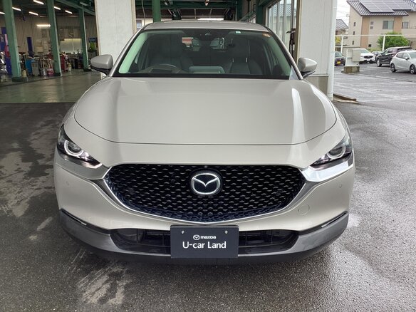 2023 Mazda CX-30 I, серый - вид 1