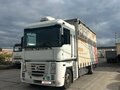 2003 Renault Magnum, белый, 1850000 рублей