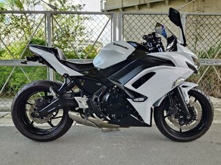 2020 Kawasaki Ninja 650, белый, 799000 рублей, вид 2