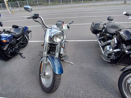 2000 Harley-Davidson Fat Boy, синий, 649000 рублей, вид 2