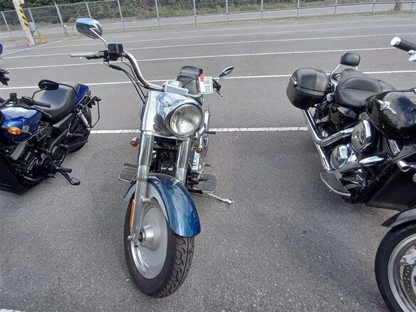2000 Harley-Davidson Fat Boy, синий, 649000 рублей - вид 1