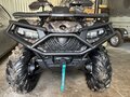 2024 CFMoto CFORCE 600 EPS, коричневый, 1000000 рублей
