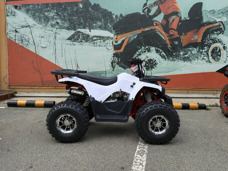 2026 Tao Motor Hunter 125, белый, 97300 рублей, вид 4