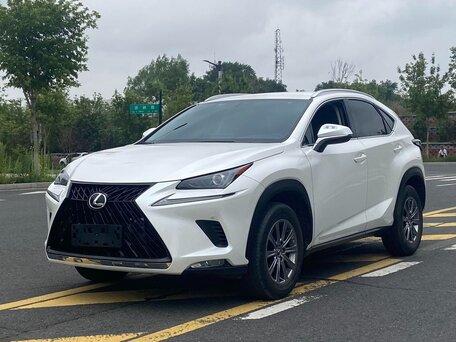 2020 Lexus NX 200 I Рестайлинг, белый, 2510000 рублей, вид 1