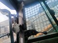 2018 Case CE SV300, оранжевый, 4600000 рублей - вид 5