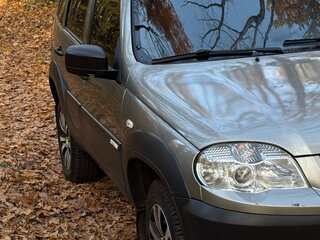 2012 Chevrolet Niva I Рестайлинг, серый, 450000 рублей, вид 2