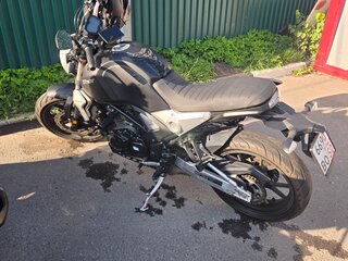 Regulmoto Thor 400