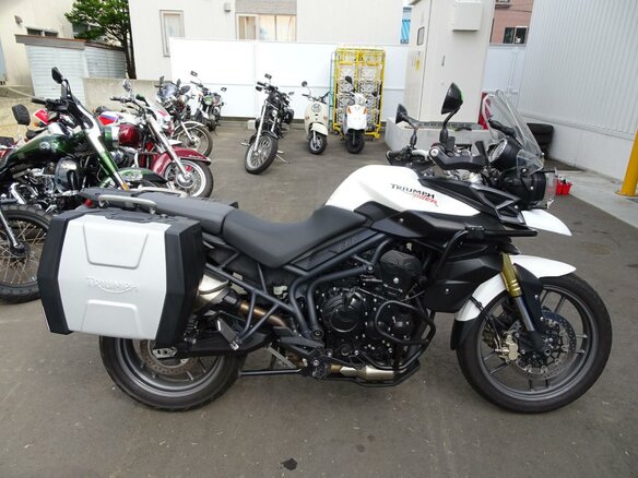 2012 Triumph Tiger 800, белый, 747000 рублей - вид 1