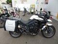2012 Triumph Tiger 800, белый, 747000 рублей - вид 1