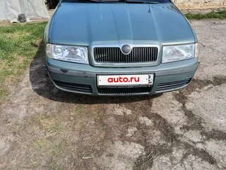 2002 Skoda Octavia I (A4) Рестайлинг, серый, 490000 рублей, вид 1