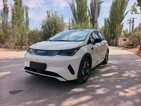 BYD Dolphin I Рестайлинг