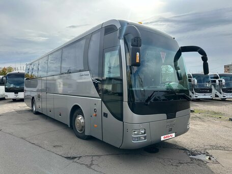 2008 MAN Lion's Coach, серый, 7500000 рублей, вид 1