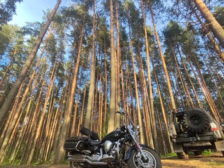 2004 Yamaha XV 1700 Road Star, чёрный, 559000 рублей, вид 3