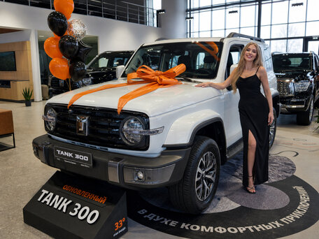 Tank 300 I